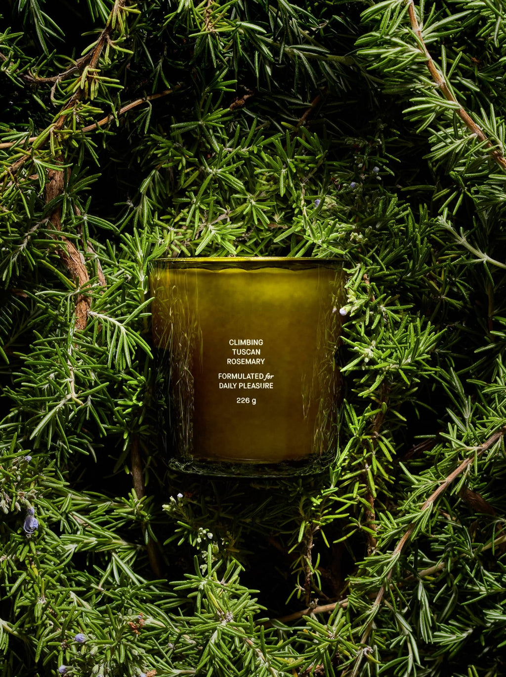 Climbing Tuscan Rosemary Candle