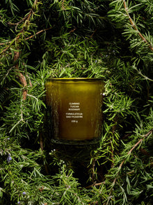 Climbing Tuscan Rosemary Candle