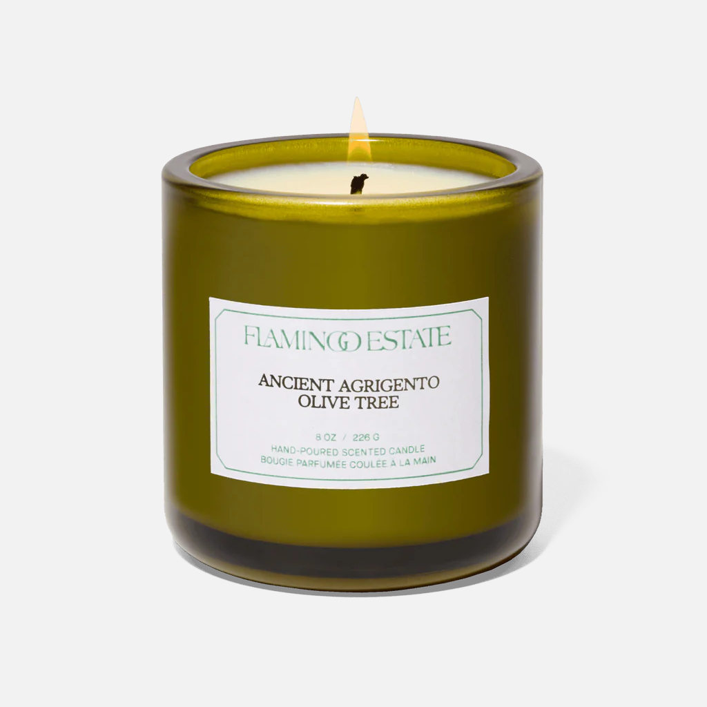 Olive Tree Candle