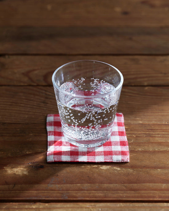 Red Gingham Coaster