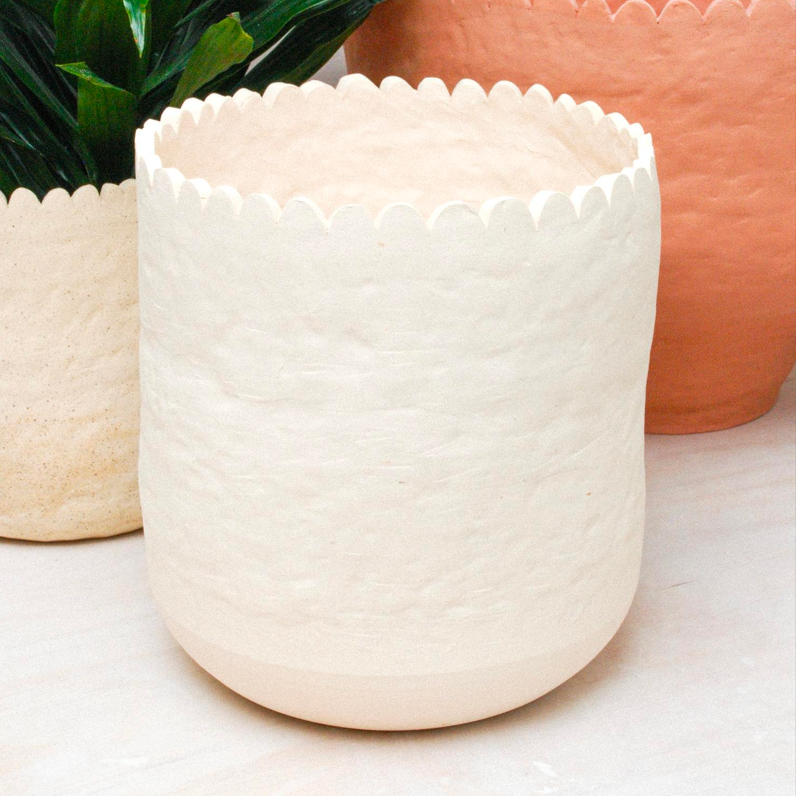 Scalloped Planter - Thumbnail 2